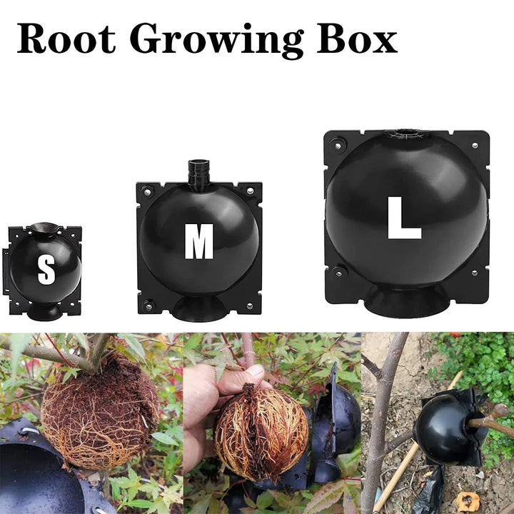 Lisslune | Plant protection balls for roots – Protective caps for safe replanting and growth