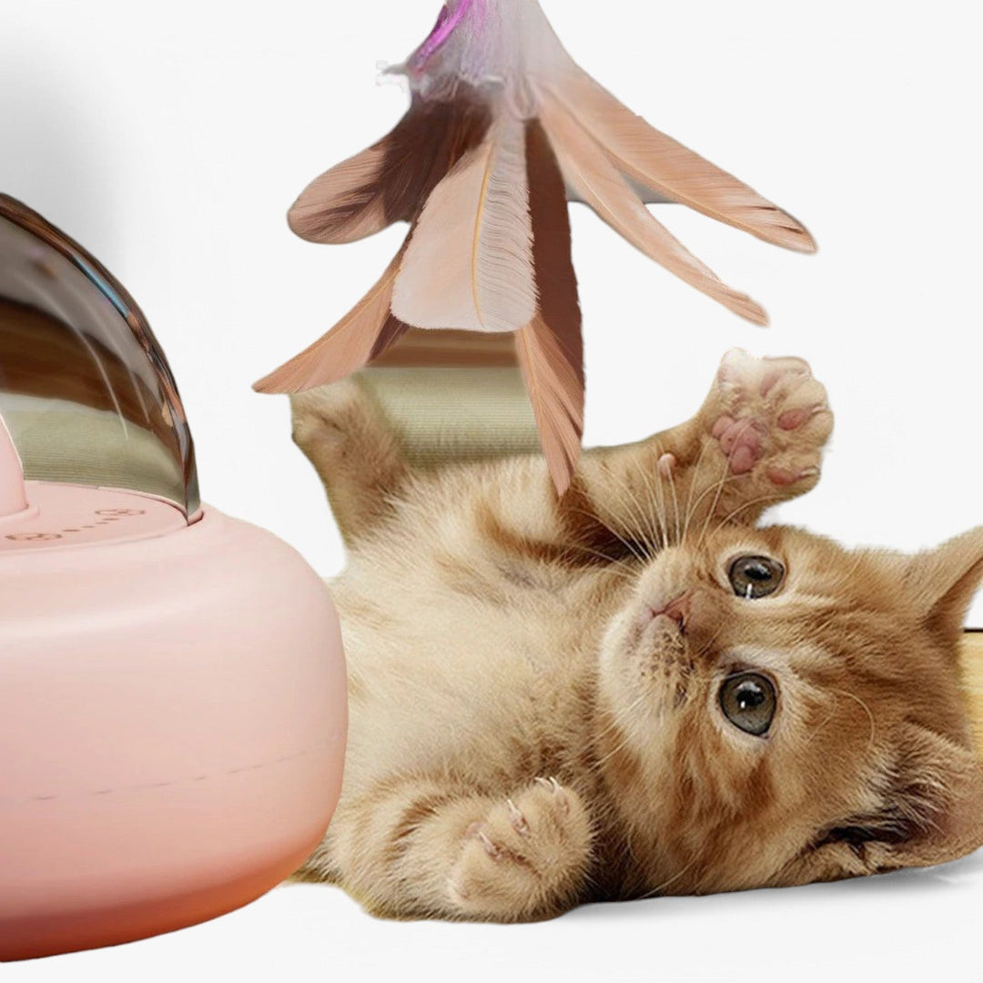 Lisslune | Smart Cat Laser "Hunting Light" with Rainbow Function and USB Charging Function
