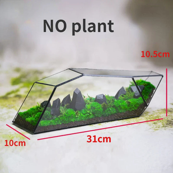 Lisslune | Geometric Glass Moss Planter Terrarium Vase