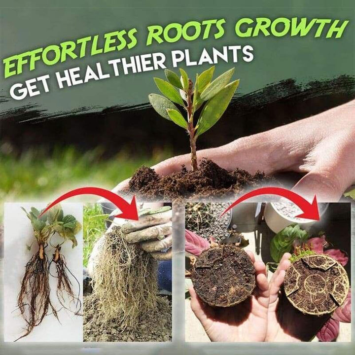 Lisslune | Rapid Root Revolution: Premium Growth Booster for Fast Plant Propagation