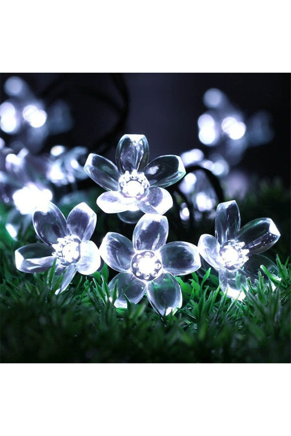 Lisslune | Solar Blossom String Lights