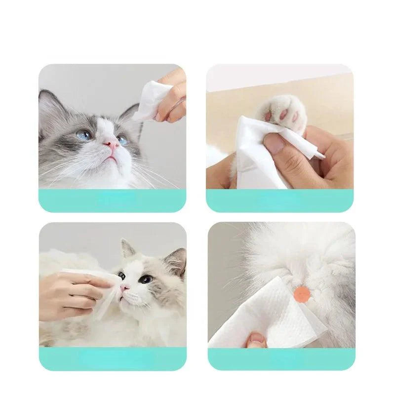 Lisslune | Pet Dental Care & Hygiene Wipes for Dogs and Cats - 80 Pieces