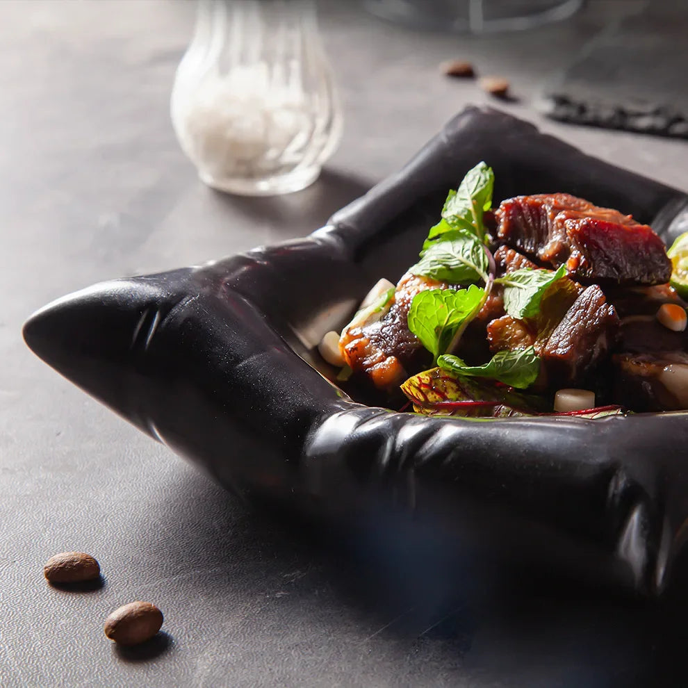 Lisslune | Ceramic Artistic Pillow Shape Food Plate