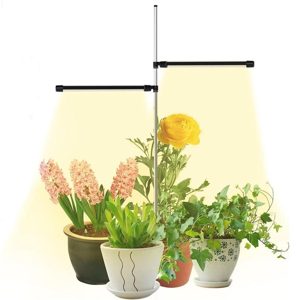 Lisslune | Advanced Spectrum LED Grow Light for Optimal Indoor Plant Growth