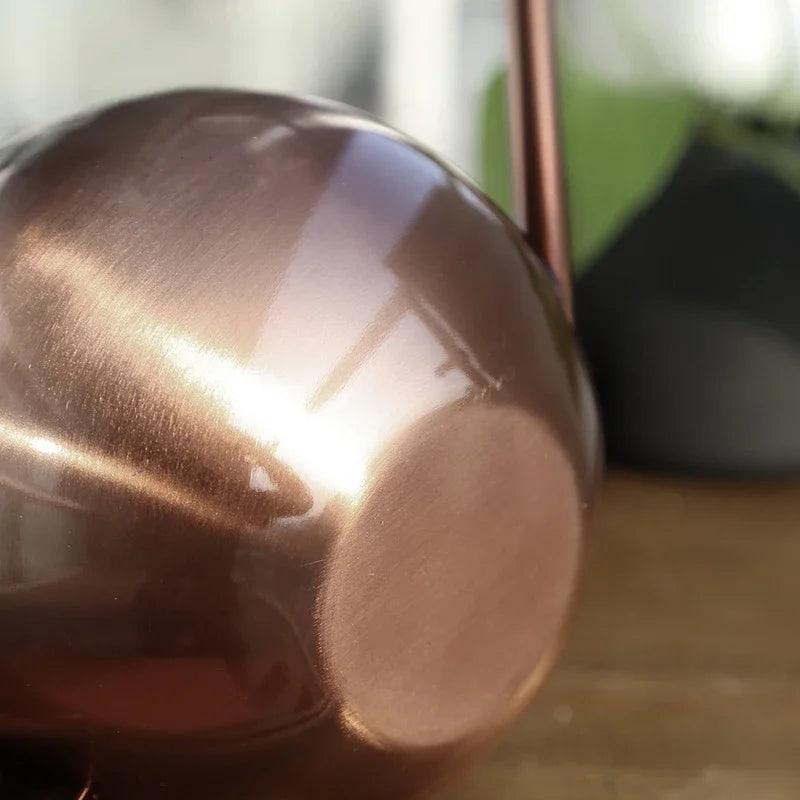 Lisslune | Stylish Stainless Steel Watering Can with Extended Spout - Perfect for Plant Care
