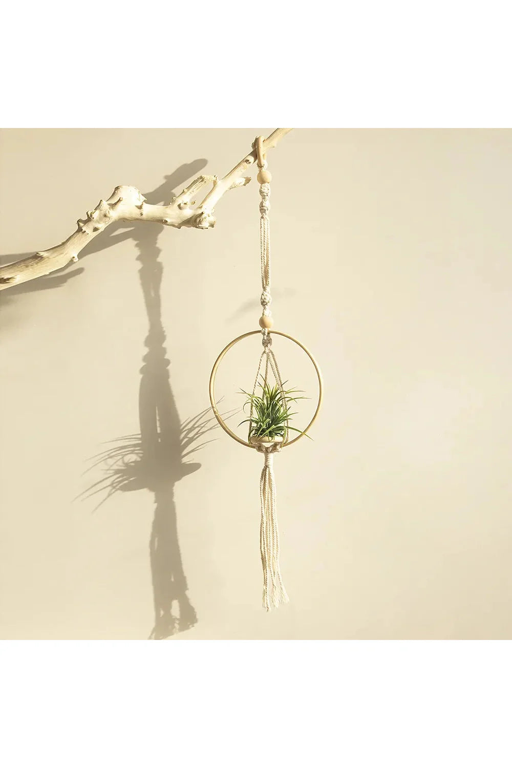 Lisslune | Macramé plant holder