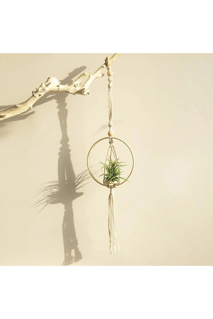 Lisslune | Macramé plant holder