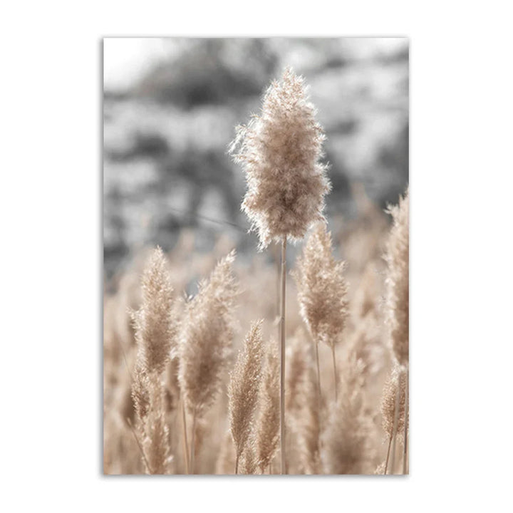 Lisslune | Academia Reed Canvas Poster