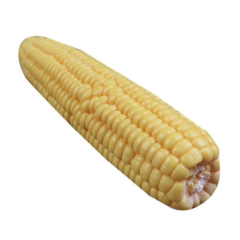 Lisslune | Life-like artificial corn cob display model for restaurants, hotels, and kitchens