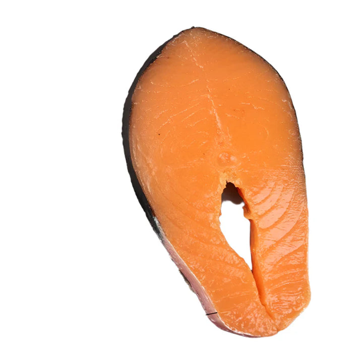 Lisslune | Life-Size Sushi Model Collection - Salmon and Tuna Models for Home Decoration and Photography