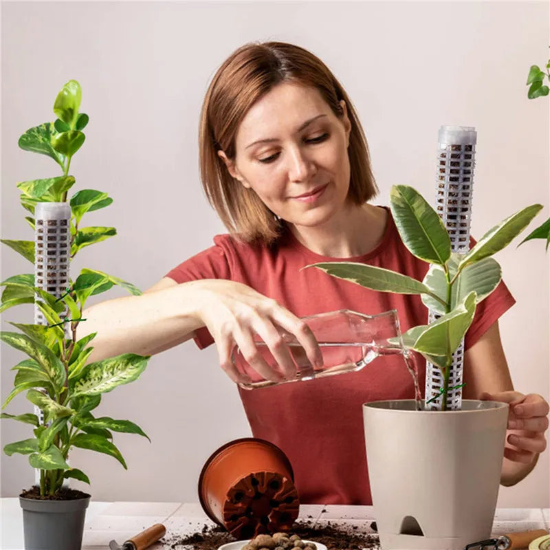 Lisslune | Pillar for climbing plants and green plants – Support columns for vertical plant cultivation