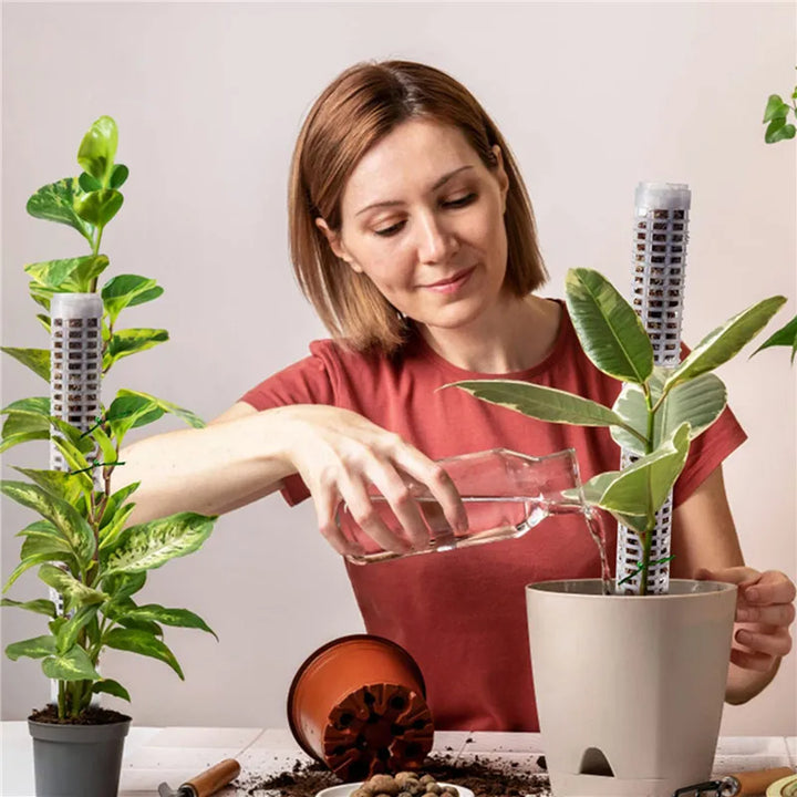 Lisslune | Pillar for climbing plants and green plants – Support columns for vertical plant cultivation