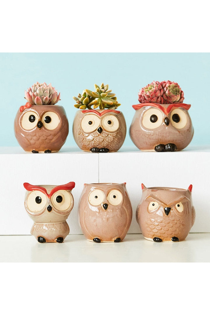 Lisslune | Owl Ceramic Flower Pot