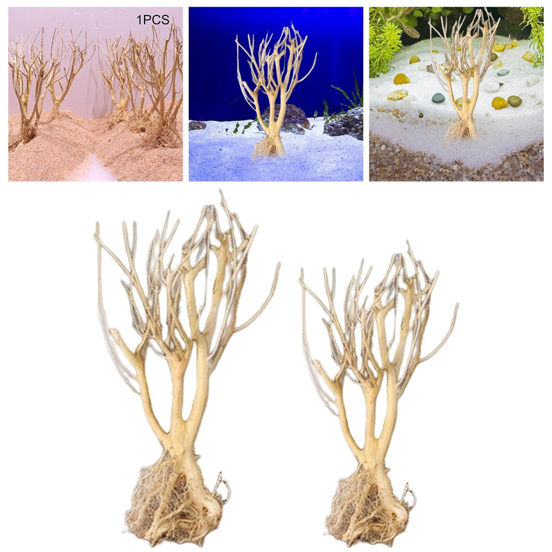 Lisslune | Natural Driftwood Decor for Aquariums: Enhance your aquatic environment with rustic charm