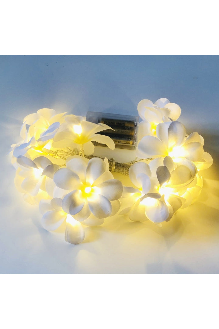 Lisslune | white rose light garland