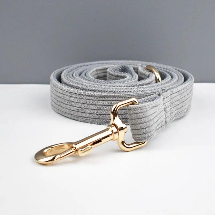 Lisslune | Personalized light gray cord collar and leash set with stylish accessories