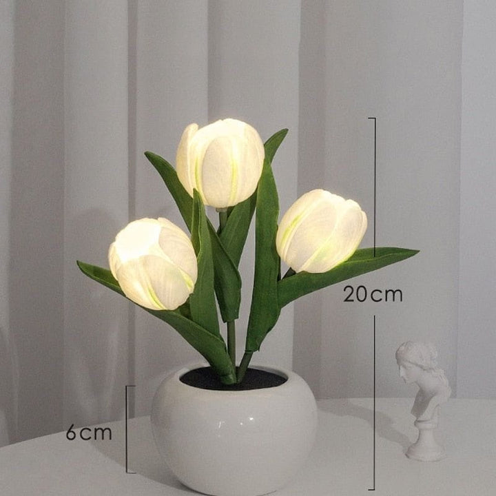Lisslune | Glowing Tulip - Beautiful visual effect