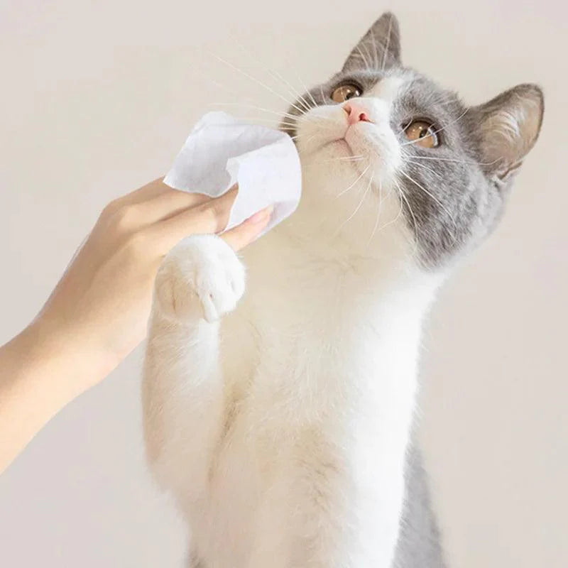 Lisslune | Pet Dental Care & Hygiene Wipes for Dogs and Cats - 80 Pieces