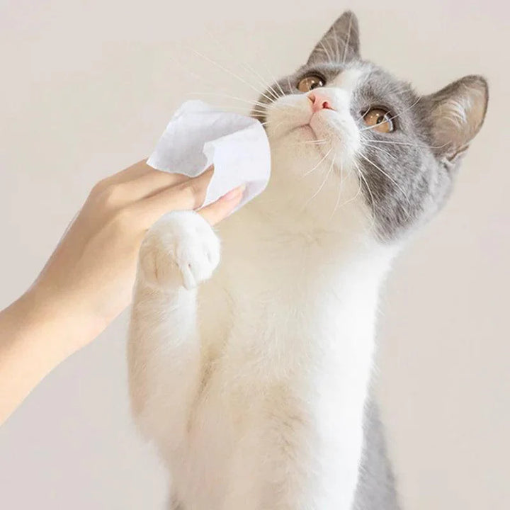 Lisslune | Pet Dental Care & Hygiene Wipes for Dogs and Cats - 80 Pieces