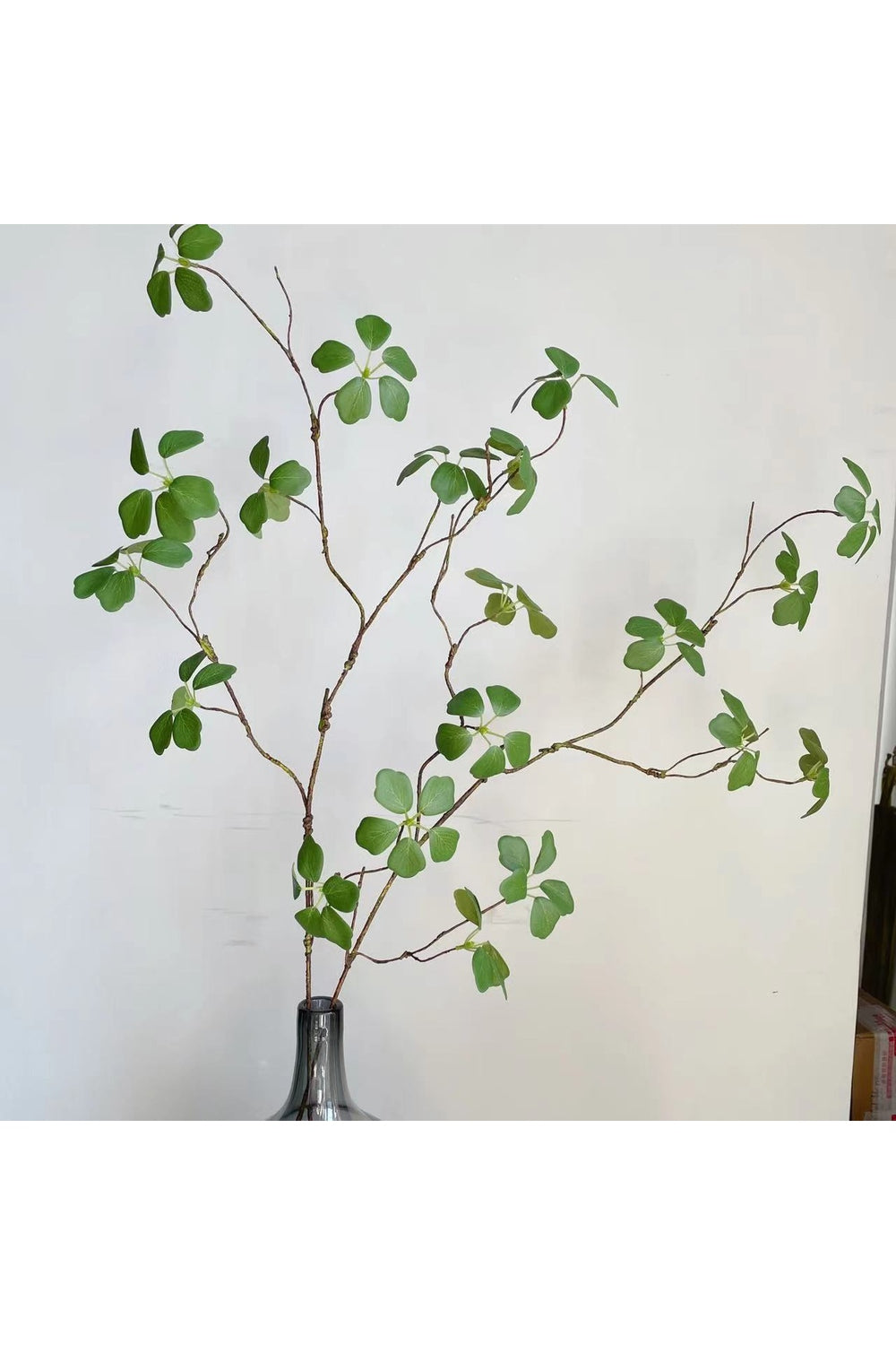 Lisslune | Style Green Leaf Ivy