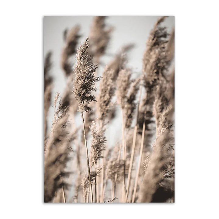 Lisslune | Academia Reed Canvas Poster