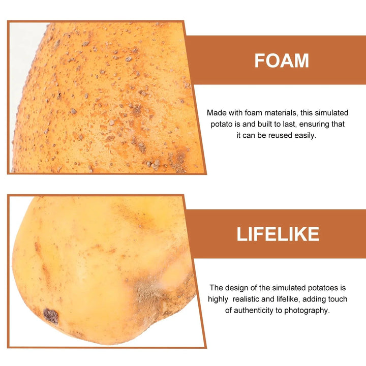 Lisslune | Set of 4 Realistic Foam Potato Models for Home Decoration and Learning Activities
