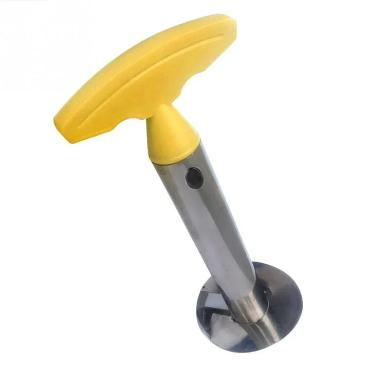 Lisslune | Pineapple cutter