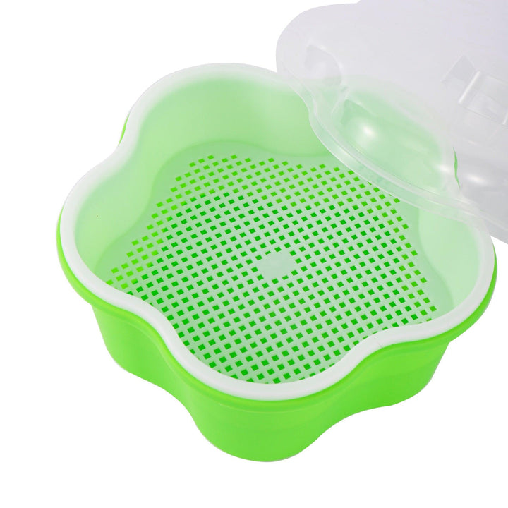 Lisslune | Homegrown Health: Ultimate Sprouting Kit for fresh, nutrient-rich delicacies!