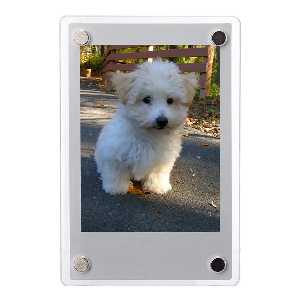 Lisslune | Magnetic Acrylic Photo Frame 5 Piece Set