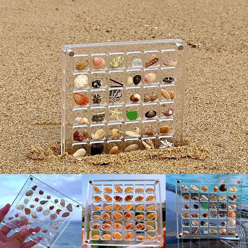 Lisslune | Acrylmuschel Display-Box mit Magneten Langlebige Seestern Schmuckaufbewahrungsbox für Perlen-Nagelschmuck