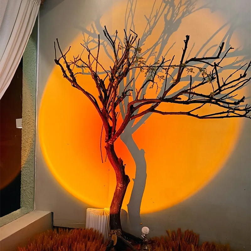 Lisslune | Sunset Ceiling Spot Light