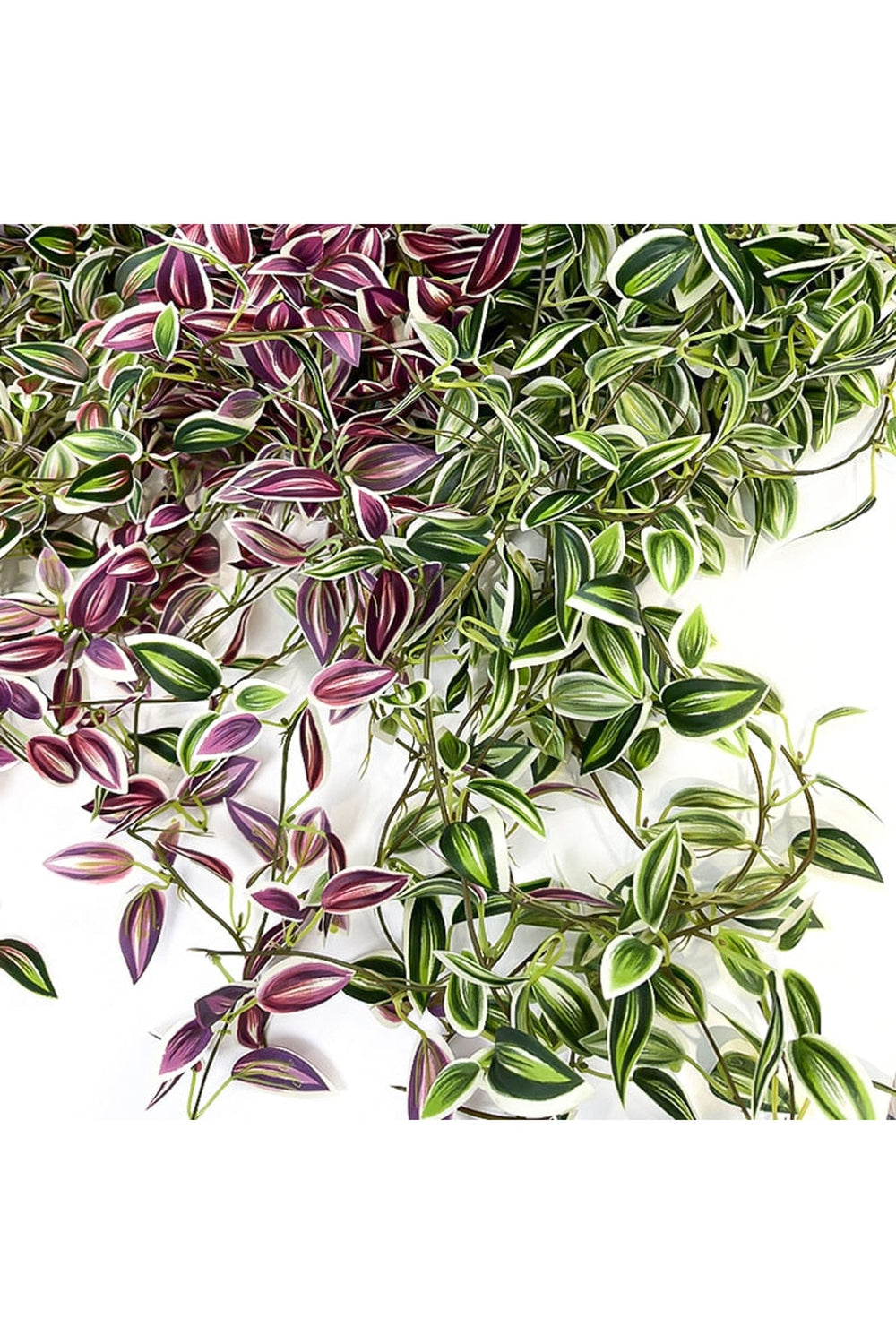 Lisslune | bamboo leaf