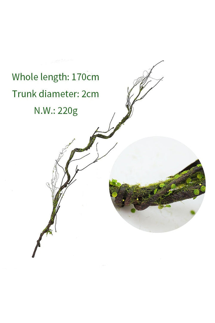 Lisslune | Branch Vine Grapes Decor