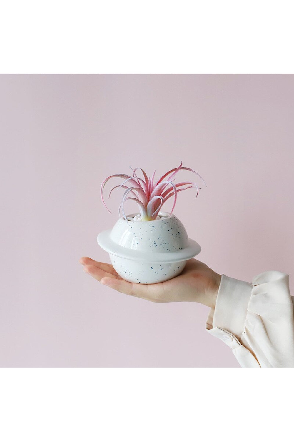 Lisslune | Motif ceramic pot for succulents