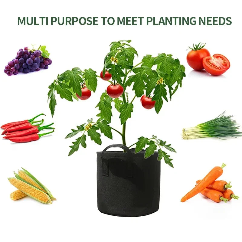 Lisslune | Planting bag made of nonwoven fabric – Robust garden container with handles for plants