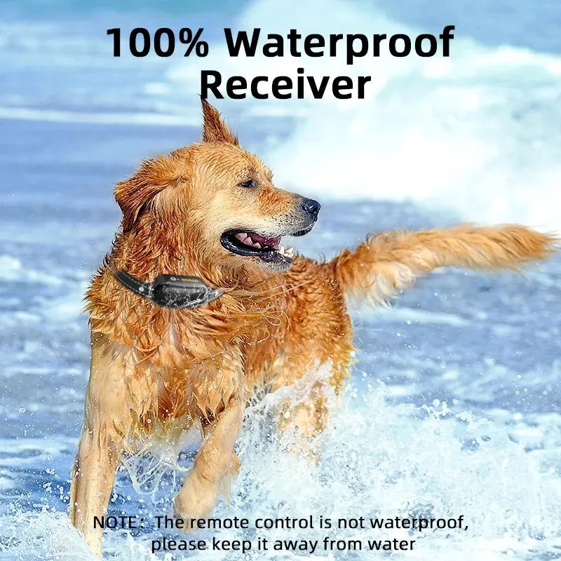 Lisslune | ProTrain – Rechargeable Waterproof Dog Training Collar with Remote