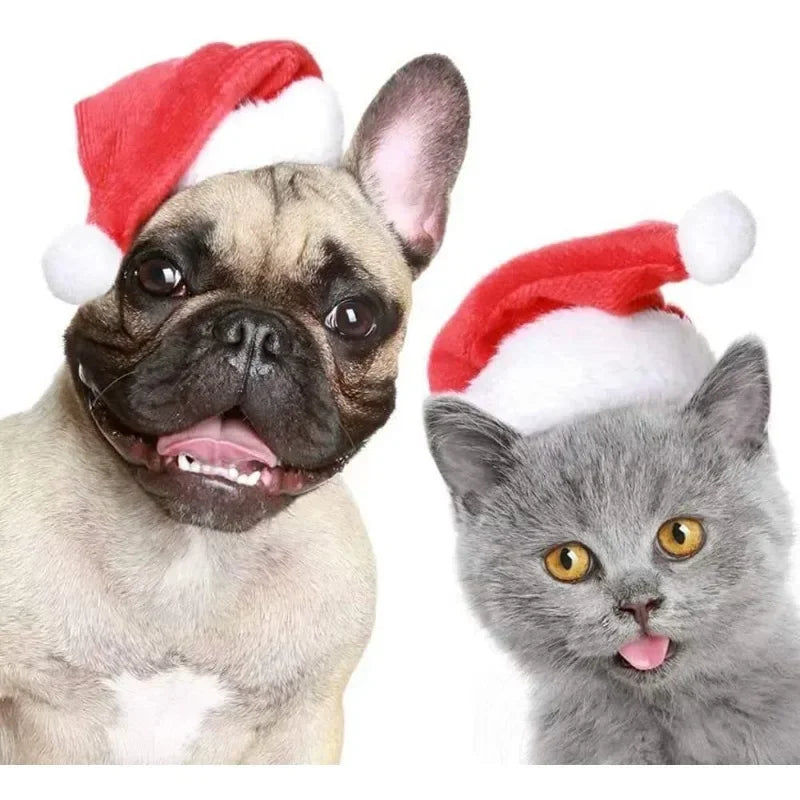 Lisslune | Christmas Hat