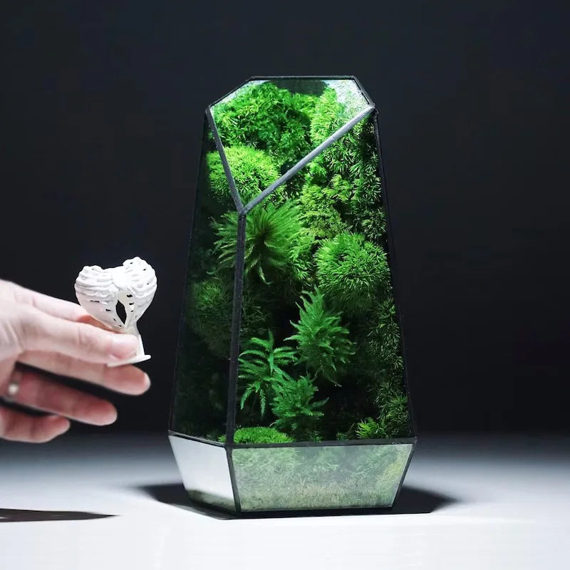 Lisslune | Modern Geometric Nature-Inspired Botanical Terrarium
