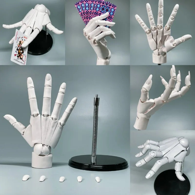 Lisslune | Multi-Pose Drawing Sculpting Art Hand Model