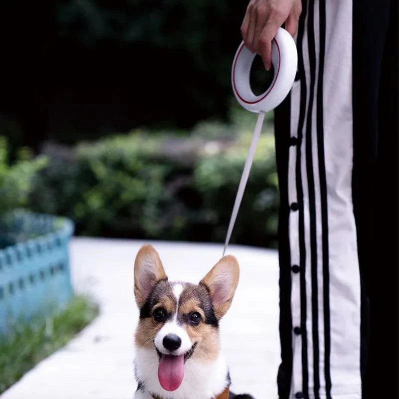 Lisslune | UFO 2 Lite Ergonomic Folding Dog Leash