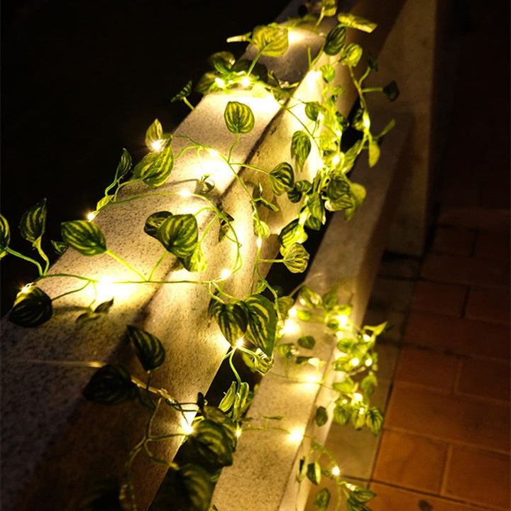 Lisslune | Garden vine LED string lights
