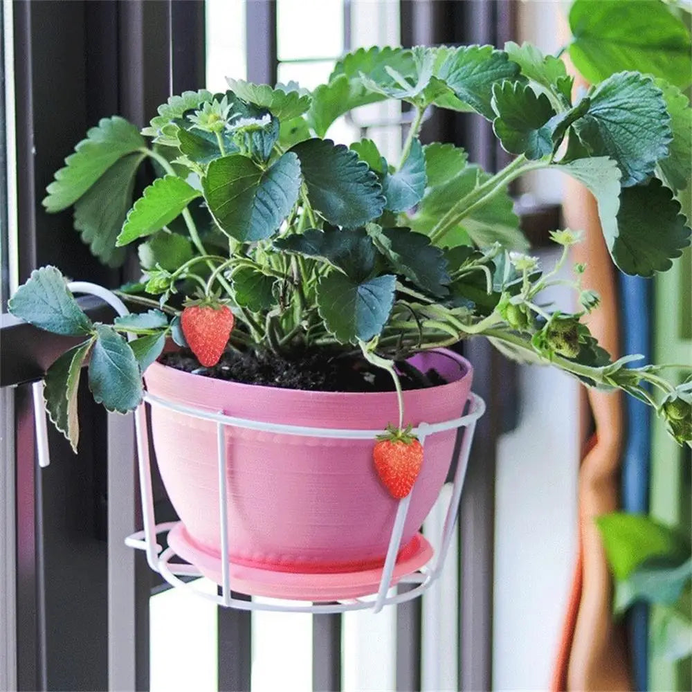 Lisslune | Practical plant pot holder with stable metal frame for balcony and terrace