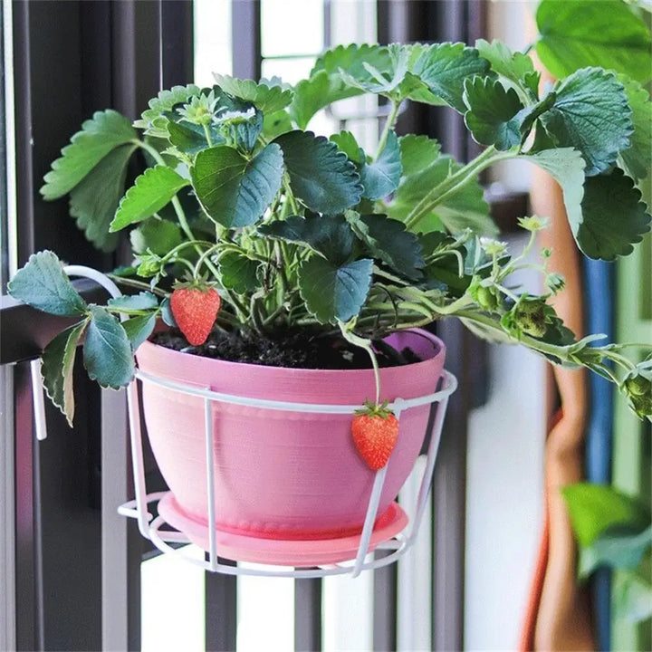 Lisslune | Practical plant pot holder with stable metal frame for balcony and terrace