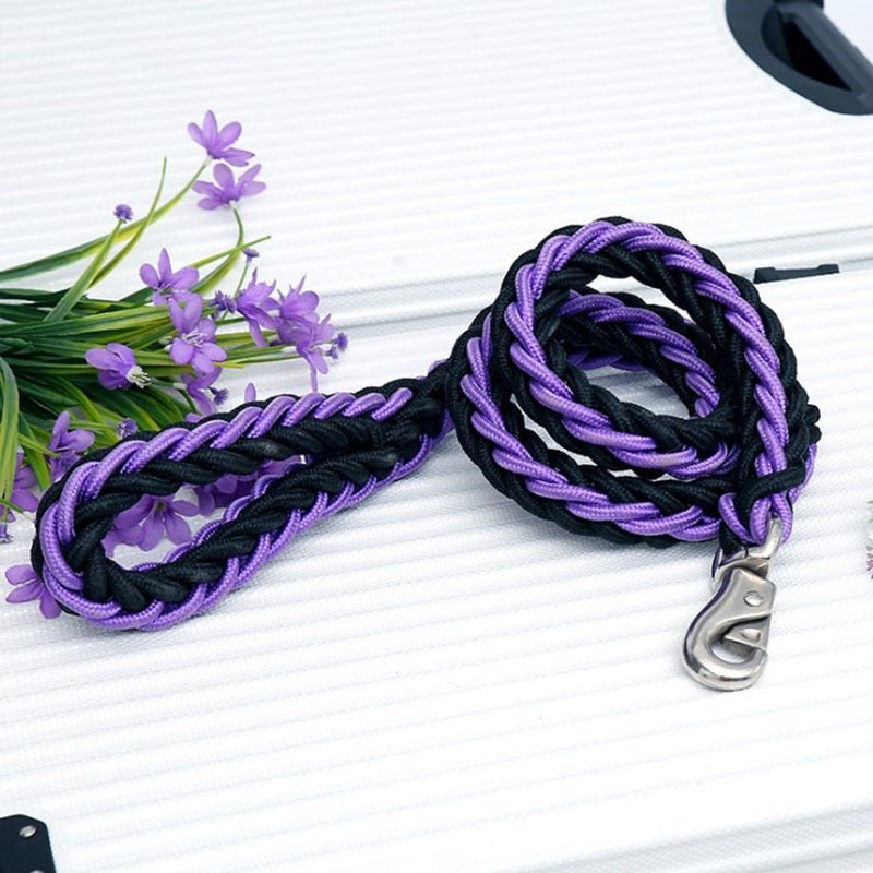Lisslune | Braided short dog leash for large dogs