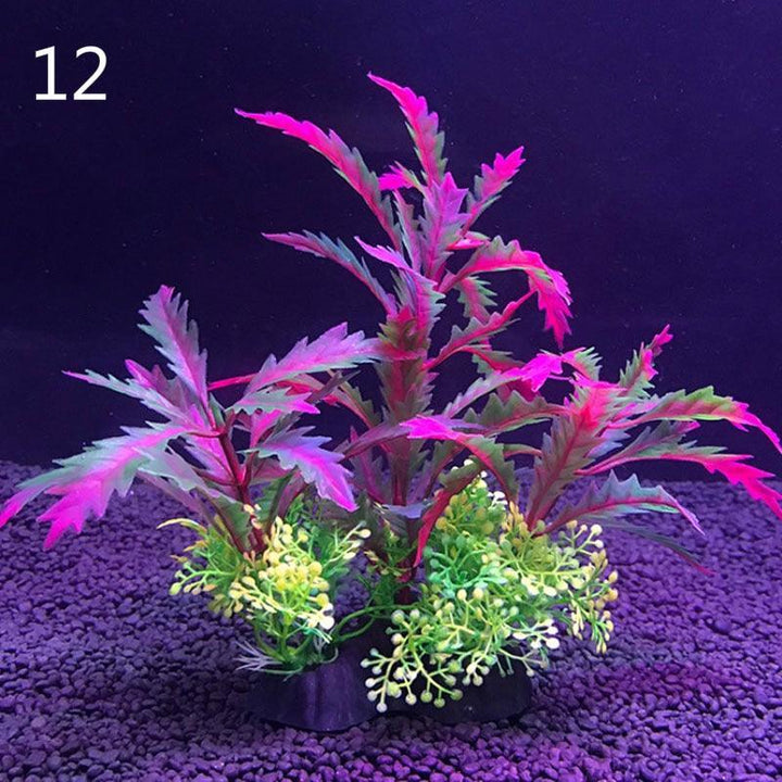 Lisslune | Aquatic Paradise: 12 Unique Plant Varieties for Lively Aquarium Landscapes