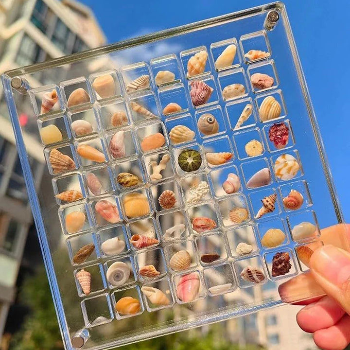 Lisslune | Acrylmuschel Display-Box mit Magneten Langlebige Seestern Schmuckaufbewahrungsbox für Perlen-Nagelschmuck
