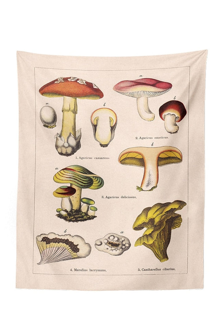 Lisslune | Mushroom Map Tapestry