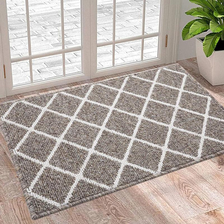 Lisslune | Luxurious non-slip microfiber welcome mat: Chic moisture-absorbing rug for entrances