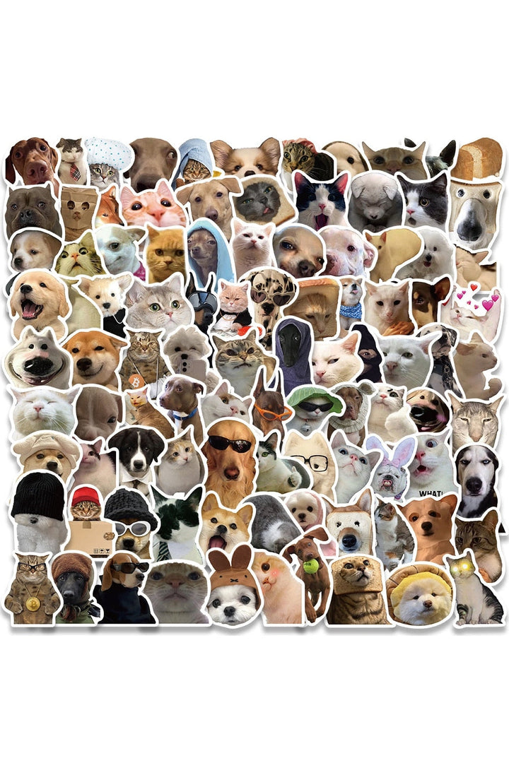 Lisslune | Cat Meme Funny Stickers 10/30/50/100 Pieces