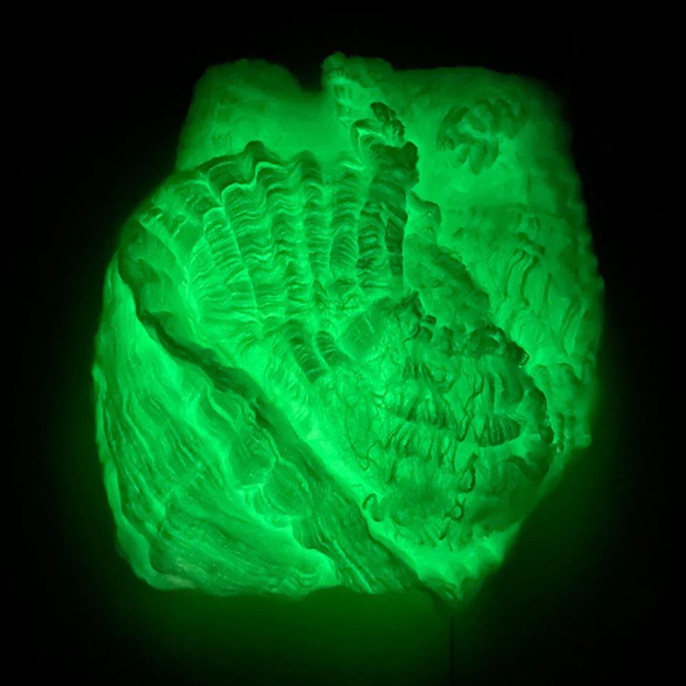 Rynx | Glowing Spider Web, stretchable artificial spider web with artificial spiders, Halloween decorations, outdoor horror haunted house decoration props